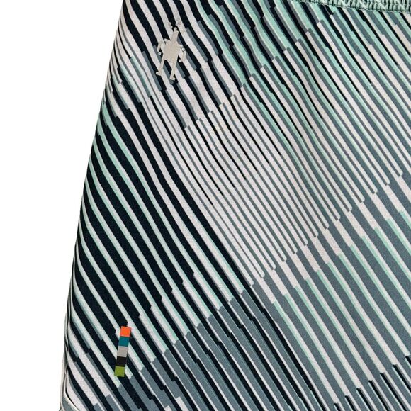 SmartWool Large Sport Lined Shorts Merino Wool Running Athletic Wicking Striped - Picture 2 of 10